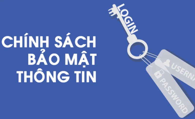 Người chơi phải cung cấp thông tin cá cược chính chủ